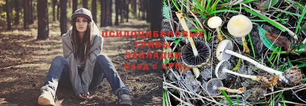 спиды Алексеевка