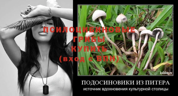 ГАЛЛЮЦИНОГЕННЫЕ ГРИБЫ Алексин