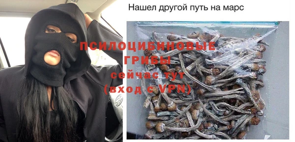 спиды Алексеевка