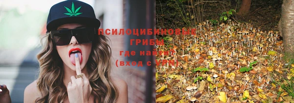 спиды Алексеевка