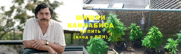 ГАЛЛЮЦИНОГЕННЫЕ ГРИБЫ Алексин