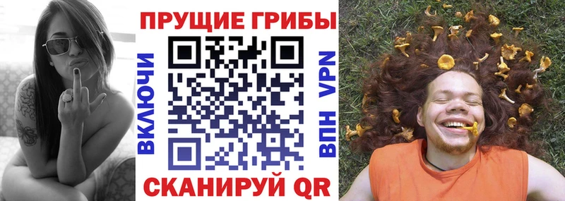 Псилоцибиновые грибы GOLDEN TEACHER  купить наркотики сайты  shop официальный сайт  Борзя 