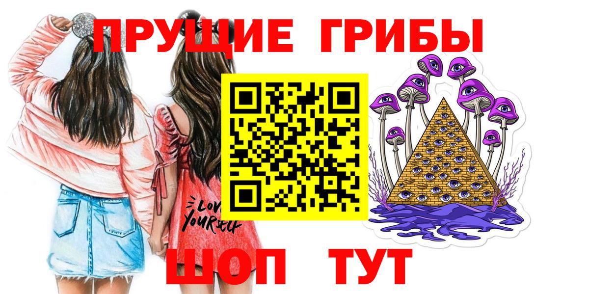 Псилоцибиновые грибы Psilocybe Борзя